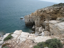 IMG 0424