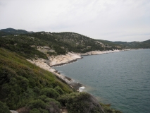 IMG 0426