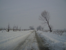 album pic 08
