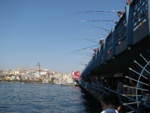 IMG 0294