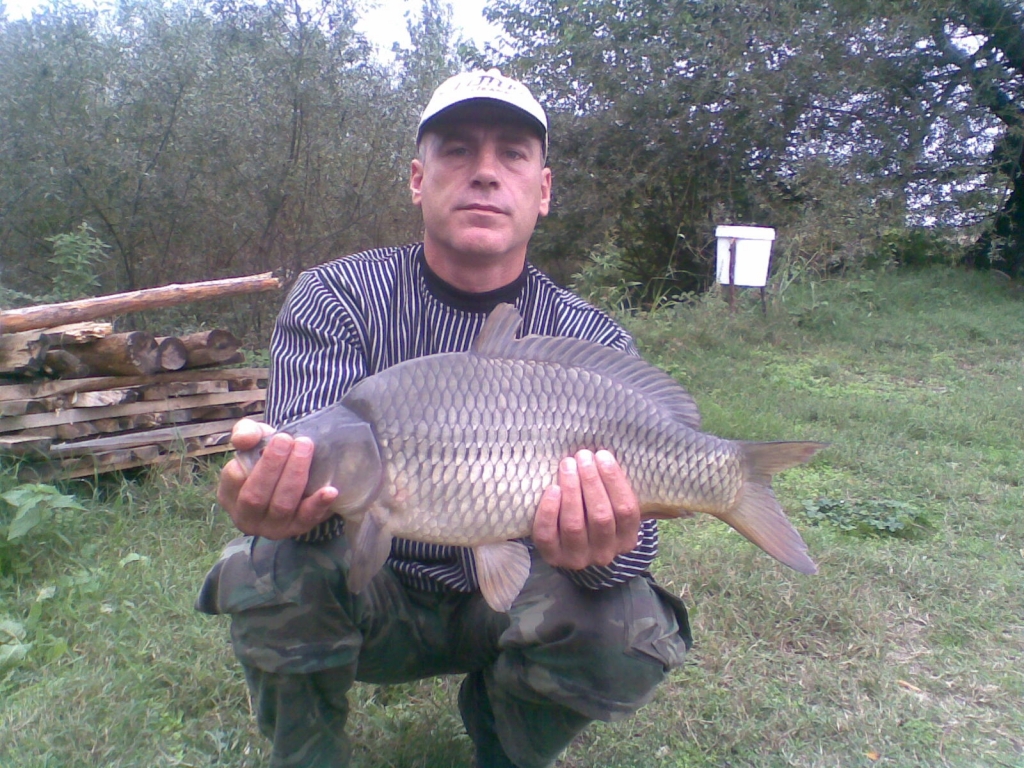 шаран 3,6кг