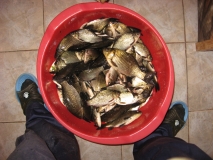 Каракуди-  есента 2010г