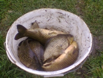 Петърч04.2010г..jpg