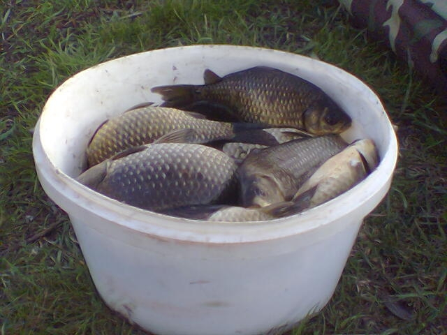 Петърч 2010год..jpg
