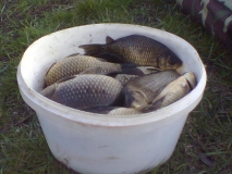 Петърч 2010год..jpg