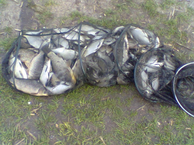 ТЕЦ 2010г..jpg