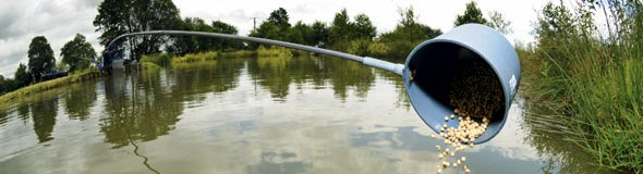 PoleFishing