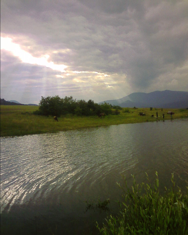 Люси014.jpg