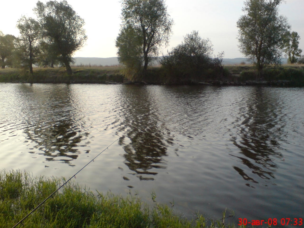 DSC00343