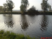 DSC00343