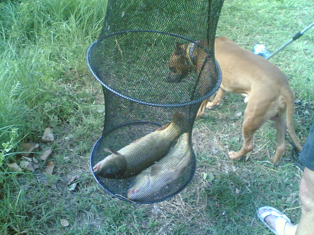 28062008(001)