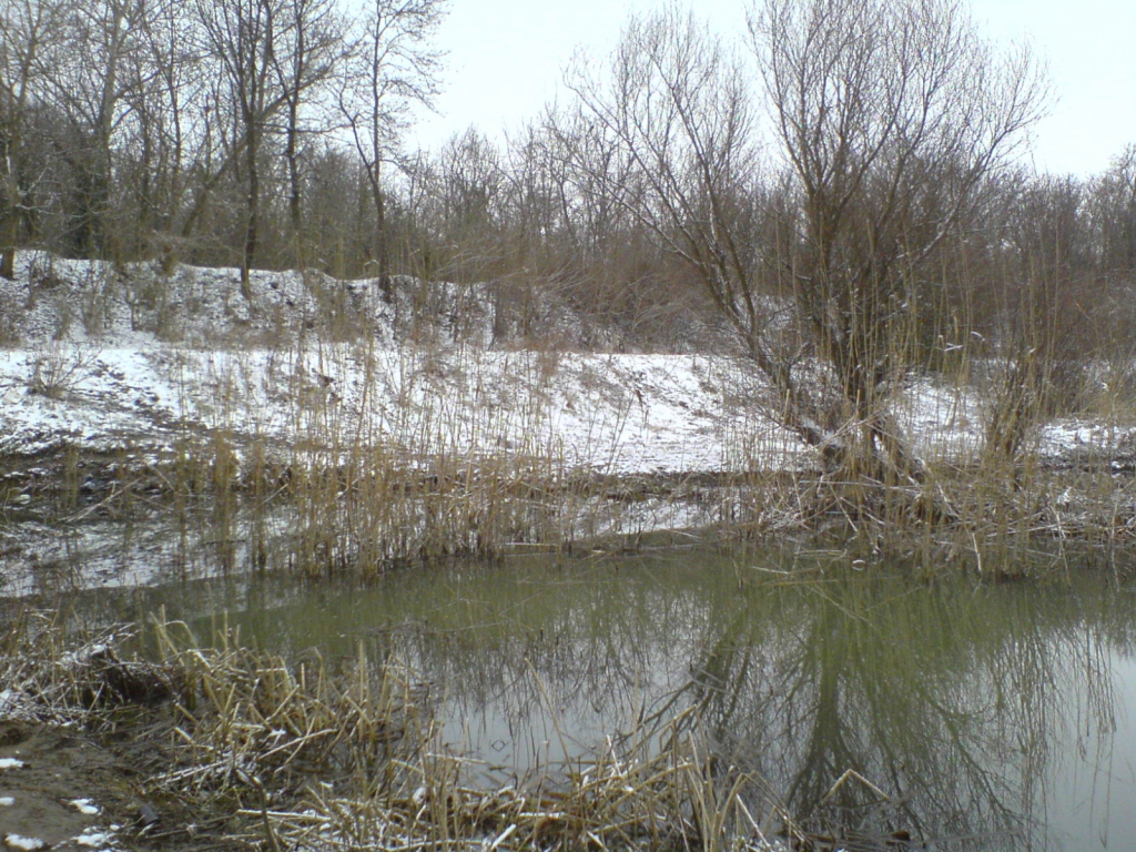 ШЕЛ-Ямбол 25.02.2001