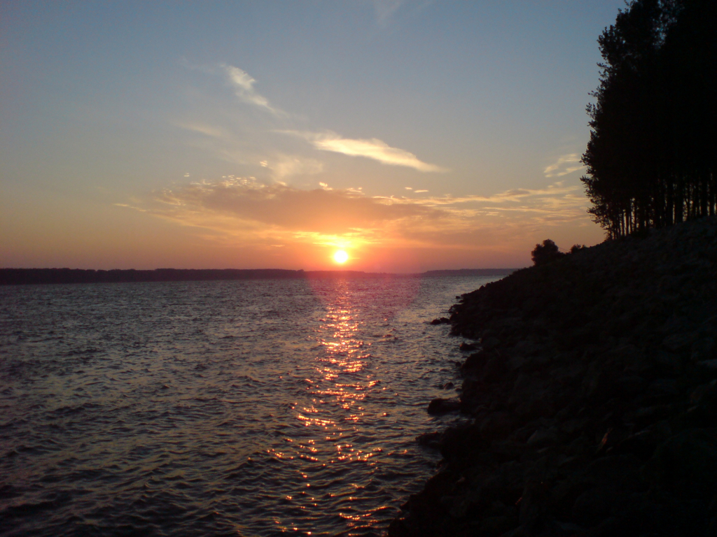DSC00255