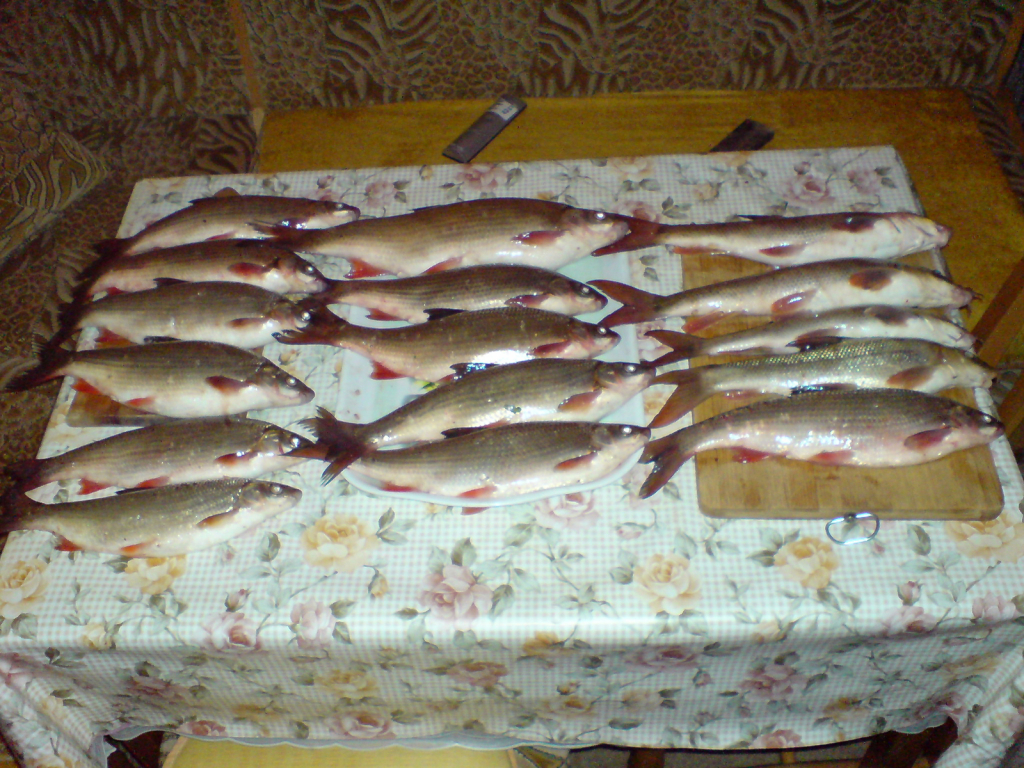 DSC00287