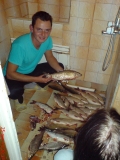 DSC00337