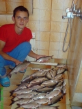 DSC00684