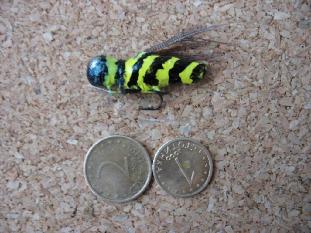 Fish 01