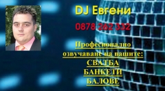DJ Evgeniboy
