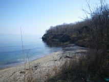 IMGP0035