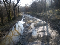IMGP0087