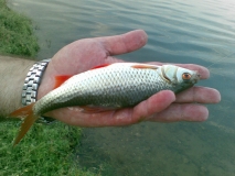 gone fishing (8)