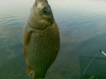 gone fishing (10)