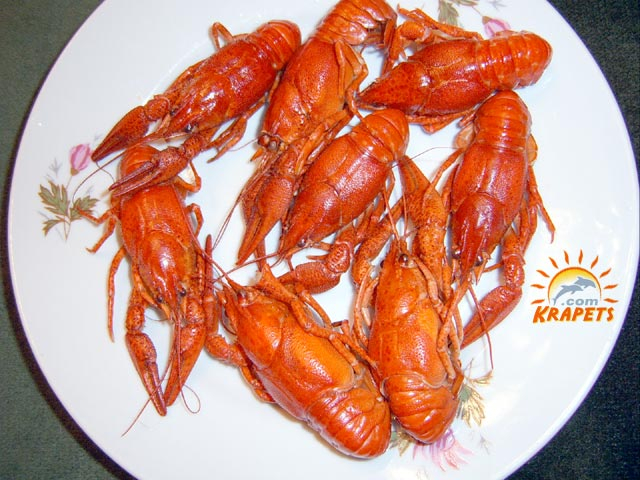 Crabs