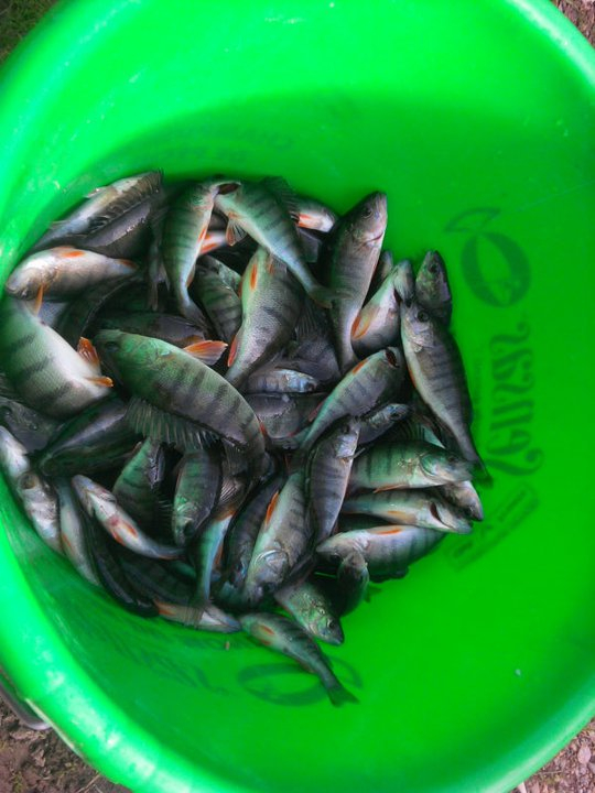 34436 152133008164717 100001040565838 295389 6756610 n