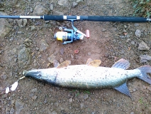 gone fishing (26)