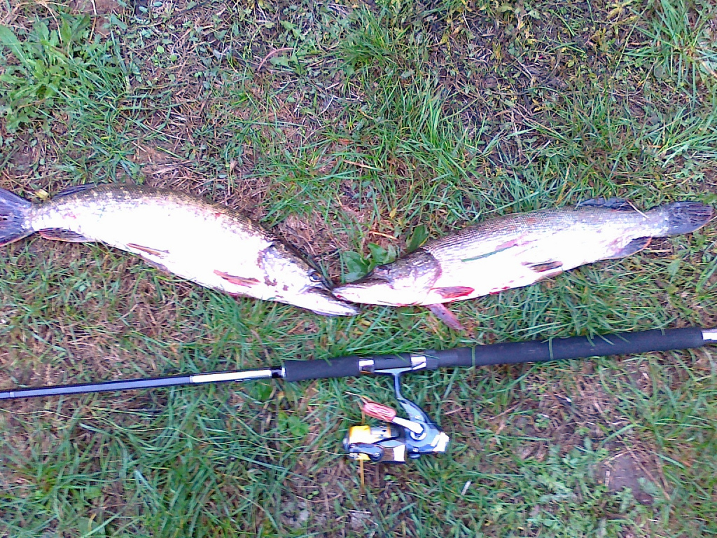 gone fishing (27)