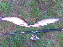 gone fishing (27)