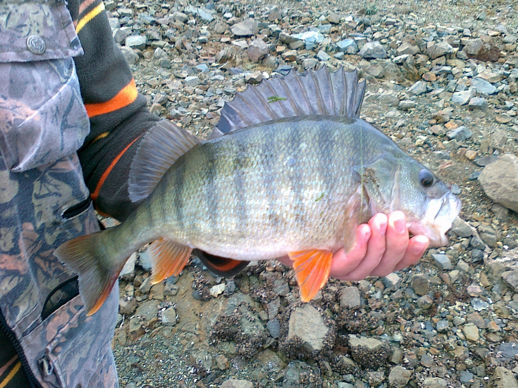 gone fishing (28)