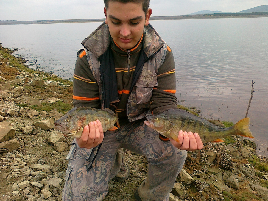 gone fishing (29)