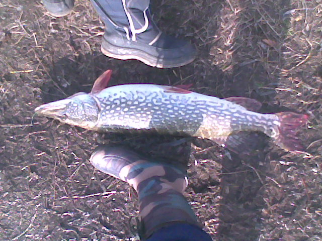 Picture 001