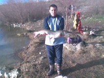 Picture 004