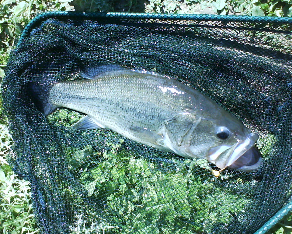 DSC00003