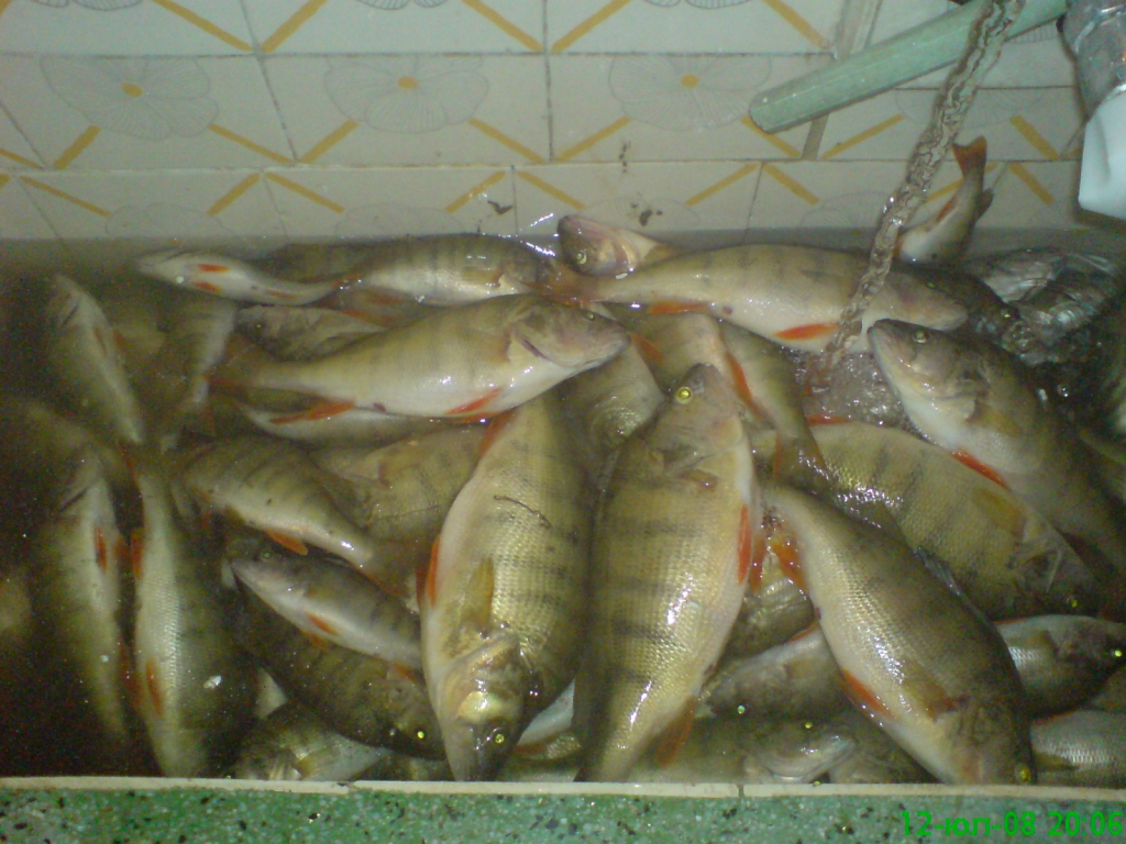 DSC00444