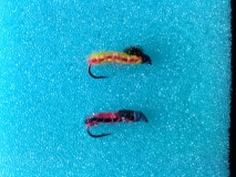 Fly 01