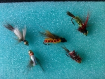 Fly 04
