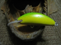 Picture 018