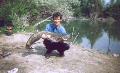 Dunav34