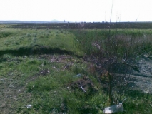 2511629042010 003 -med