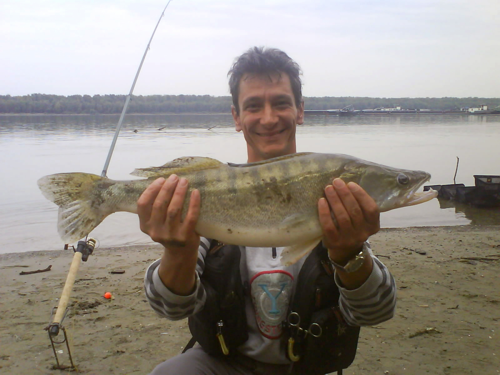 Дунава 2010
