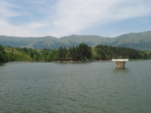 39868IMG 4590