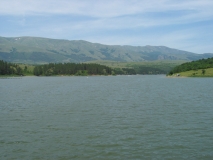 39868IMG 4592
