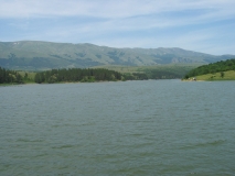 39868IMG 4597