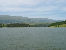 39868IMG 4603