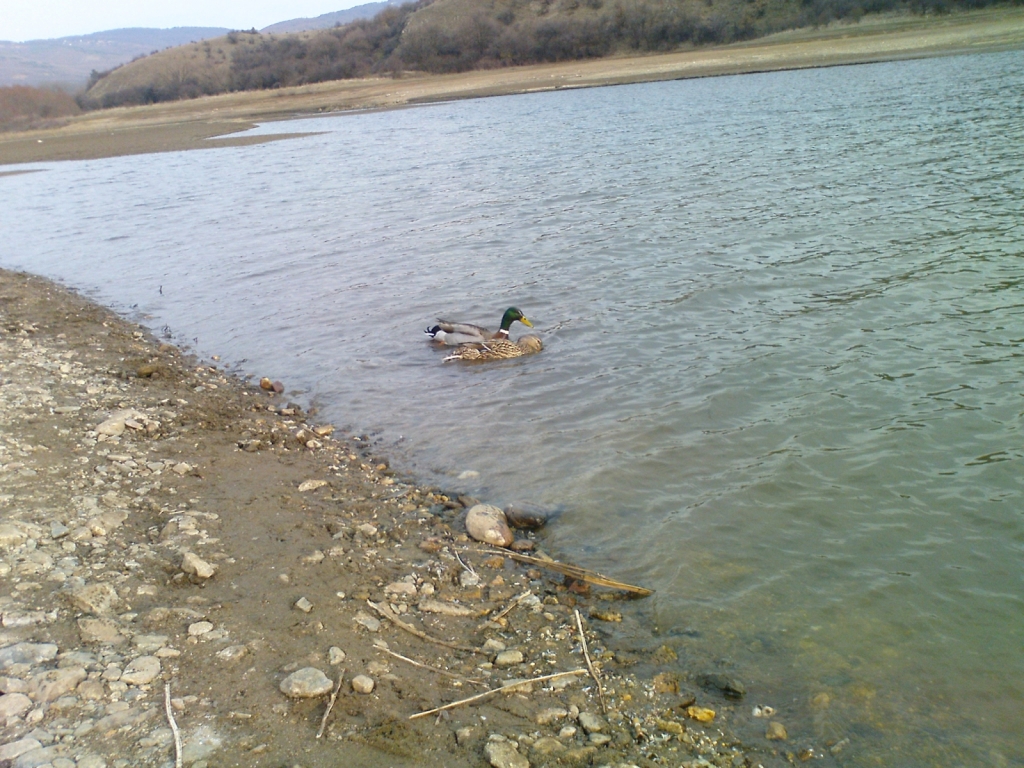 DSC01501