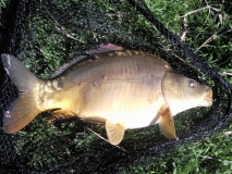 Photo0001