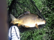 Photo0003